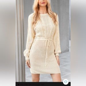 NWT sweater dress! Beautiful item.